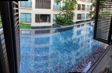 View of swimming pool area from window