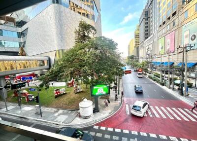 Street view from building showing surrounding area with tree, cars, and buildings