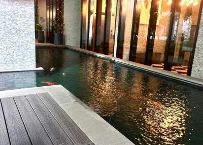 Modern indoor pond with ornamental fish in a building