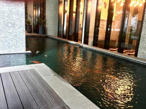 Modern indoor pond with ornamental fish in a building