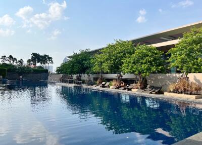 Outdoor swimming pool area with deck chairs and trees