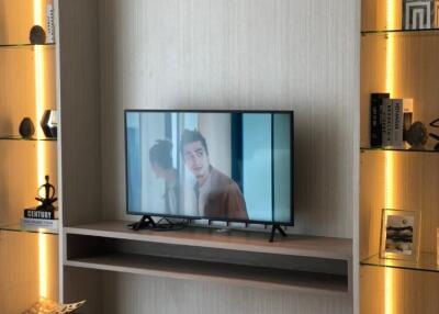 Modern living room with built-in shelves and a flat screen TV