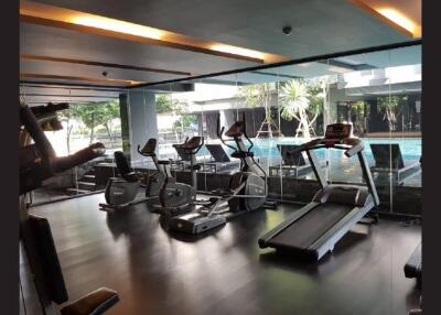 Modern gym with exercise equipment overlooking an outdoor pool