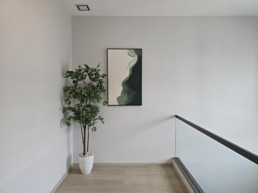 Hallway with plant and wall art