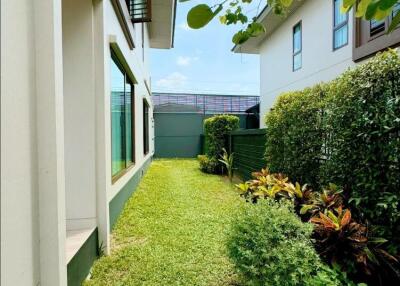 Side garden area with lush vegetation and pathway