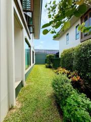 Side garden area with lush vegetation and pathway