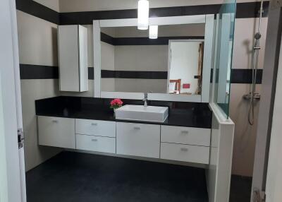 Modern bathroom with a large mirror, vanity with sink, and shower