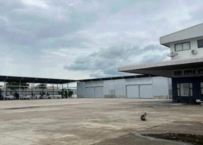 Chon Buri Warehouse  Nong Yai Rak