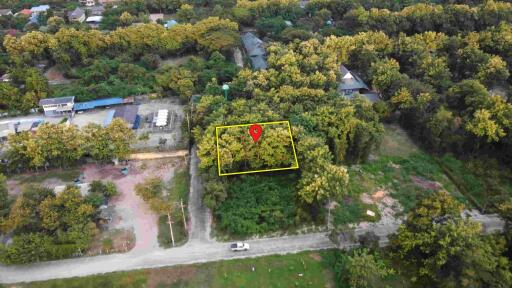 Aerial view of a plot of land surrounded by greenery and adjacent to a road