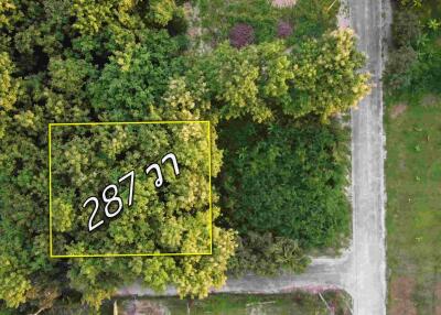 Aerial view of a plot of land with dense green trees and a visible road