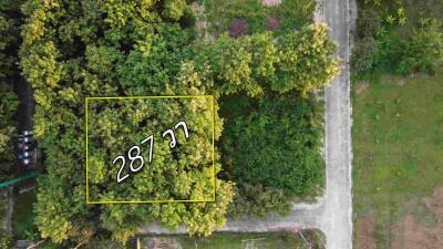 Aerial view of a plot of land with dense green trees and a visible road