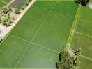 Aerial view of agricultural land