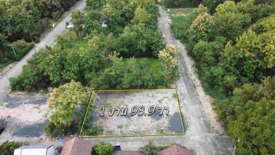 Aerial view of an empty land plot surrounded by trees.