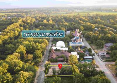 Aerial view of a property surrounded by trees with a nearby statue and marked plot