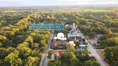 Aerial view of a property surrounded by trees with a nearby statue and marked plot