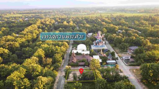 Aerial view of a property surrounded by trees with a nearby statue and marked plot