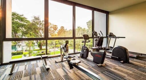 Modern gym with various exercise equipment and large windows