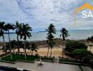 Beachfront view with palm trees and ocean