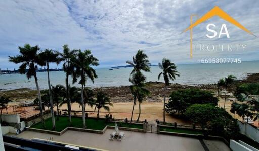 Beachfront view with palm trees and ocean