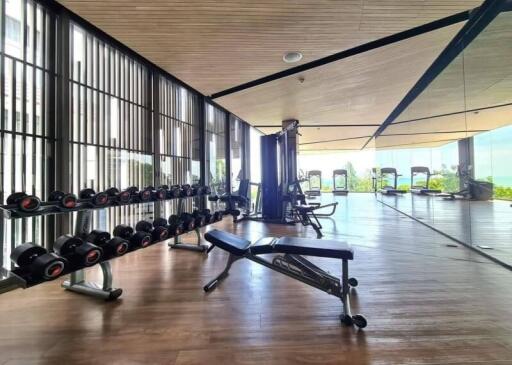 Modern gym with equipment and mirrors