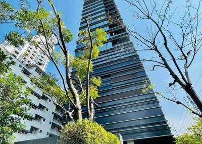 Modern high-rise building surrounded by trees