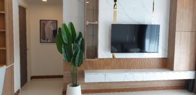 Modern living room with mounted TV and plant