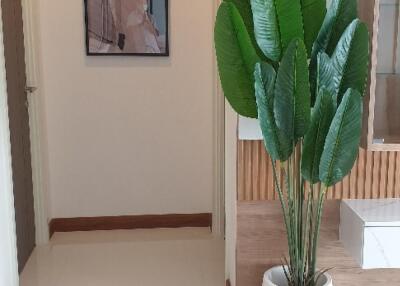 Modern hallway with large green plant and artwork