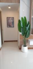 Modern hallway with large green plant and artwork