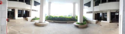 Spacious building lobby with plants