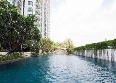 Swimming pool area in a residential building