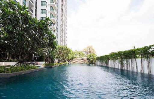 Swimming pool area in a residential building