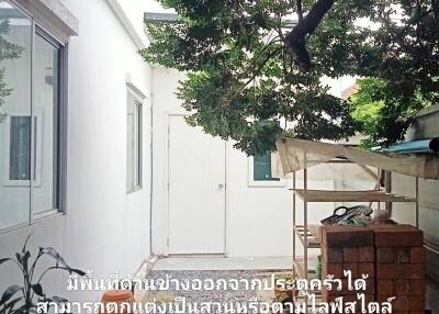 Outdoor area with a tree and a white building