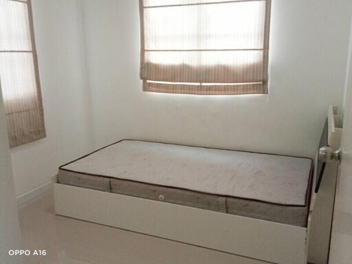 Small bedroom with single bed and two windows with blinds