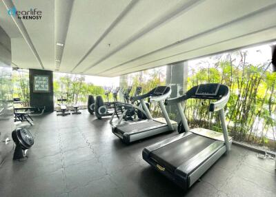 Well-equipped gym with multiple treadmills and weight machines, featuring a scenic view of greenery