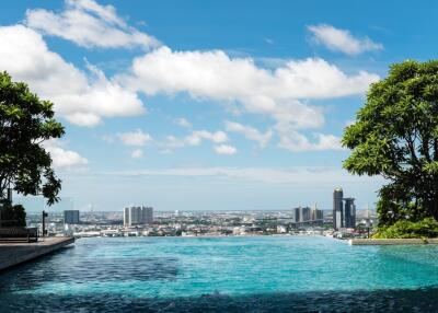 rooftop pool with city view