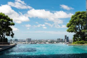 rooftop pool with city view