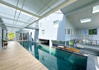 Modern indoor pool and lounge area