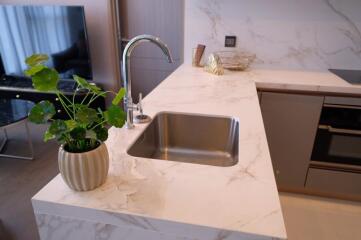 Modern kitchen with marble countertops and stainless steel sink