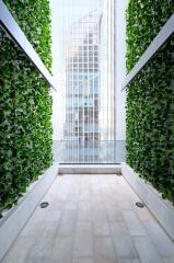 Modern balcony with vertical garden and city view