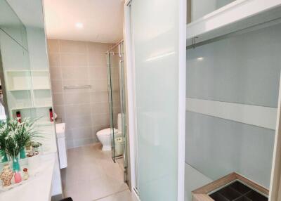 Modern bathroom with vanity, closet, and shower