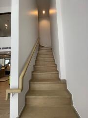 modern wooden staircase with handrail