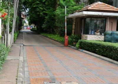 Outdoor pathway with lush greenery