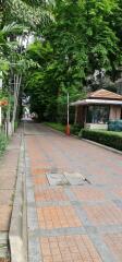 Outdoor pathway with lush greenery