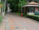 Outdoor pathway with lush greenery