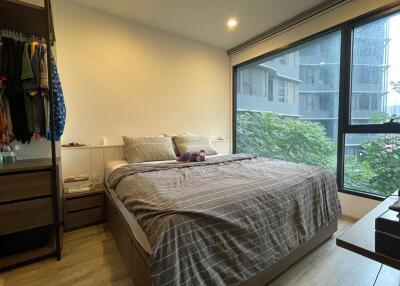 Cozy bedroom with large window