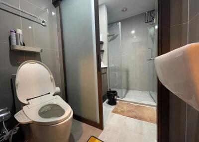 Modern bathroom with a toilet, shower area, and modern fixtures