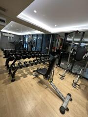 Modern gym with weights and fitness equipment