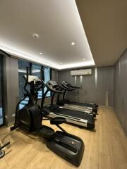 Home gym with fitness equipment