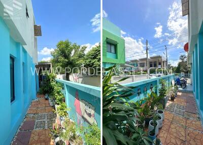 Outdoor area with blue walls and small garden