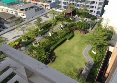 An aerial view of a well-maintained rooftop garden